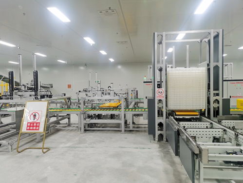 科技賦能蠶桑產業 那坡同益新2022年首批智能工廠化飼料養蠶成功結繭與飼料原料銷售新篇章