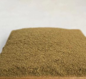 解密鵝產業供應鏈 供應商、價格動態與批發市場及飼料原料銷售全解析